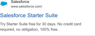 Salesforce — Google Search: “100% free”