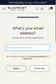 Blueprint — Email capture — optional